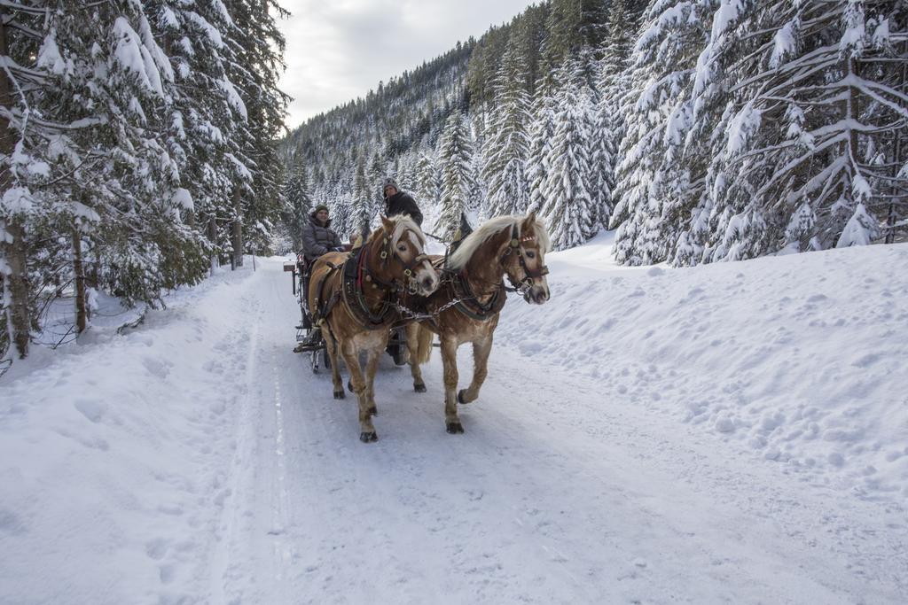 Landhotel Alpenhof フィルツモース エクステリア 写真